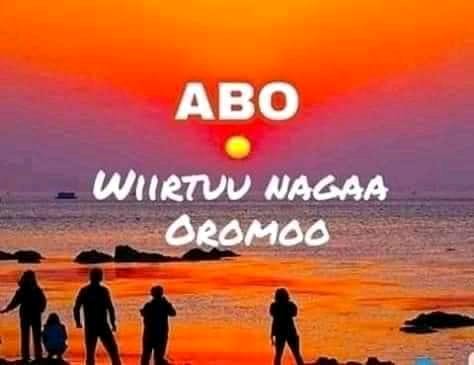 Wareegamni lammiilee Oromiyaa gatii Bilisummaaf akka tahus nan amana .