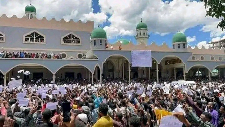 Hordoftoonni Amantaa Musliimaa Magaalaa Finfinneetti hiriira bahuun Faannoo Balaaleffatan