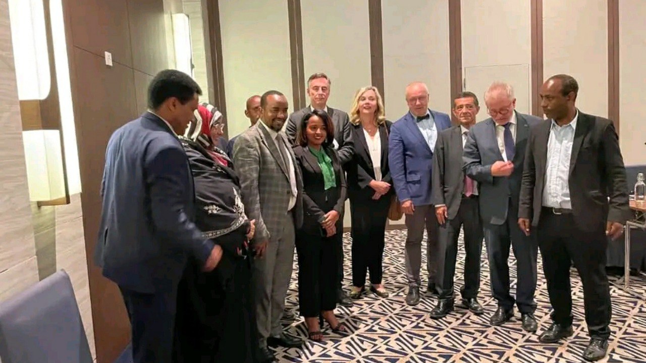 Miseensonni Gumii Paartilee Morkattootaa (Caucus of Opposition Parties) Jila Gamtaa Awurooppaa Waliin Marii Taasisan