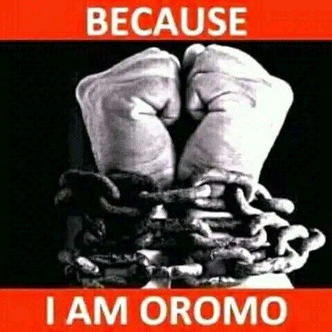 kutaalee Oromiyaa garaa garaa keessatti waraanni Bilxiginnaa ilmaan Oromoo hidhuu cimsee itti fufe.