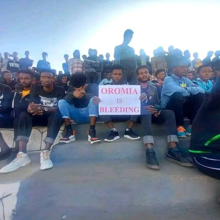Giddaa Ayyaanaatti haleellaa Faannoon namoonni 12 ajjeefaman.