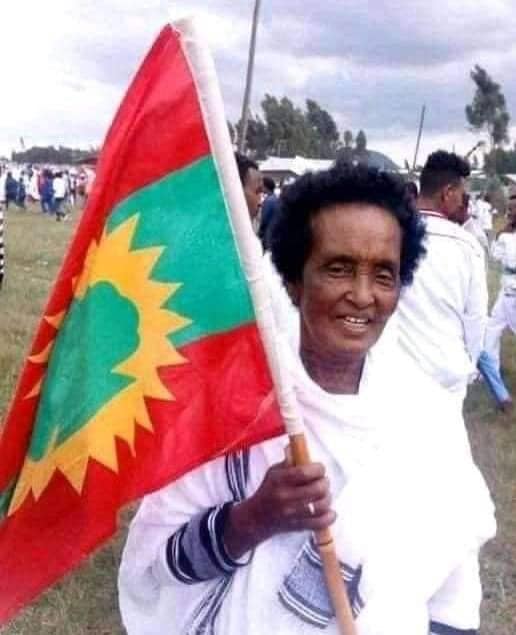 Boqochuu Jaal Dirribee Irgaa Ilaalchisee gadda ABO