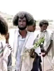 Waraanni PP tuuta Abbootii Gadaa Karrayyuu ajjeesuun dhagahame