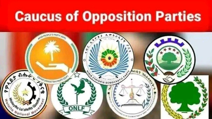 Press Release caucus Of Opposition Partiesart