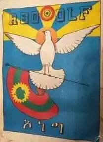 Oromo Liberation Front 50th anniversary