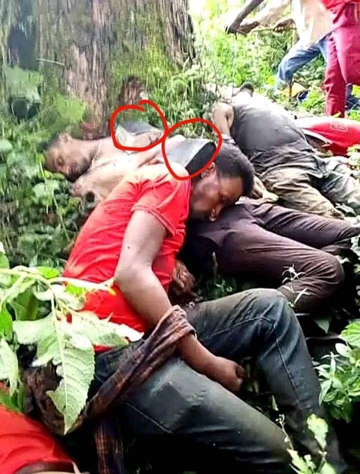 Godina Qellem Wallaggaa Aanaa Gidaamii keessatti Waraanni goolessaan PP dargaggoota mana Amantaa keessatti kadhannaa irra turan qabanii deemuun gammoojjii keessatti rashanuun beekame.