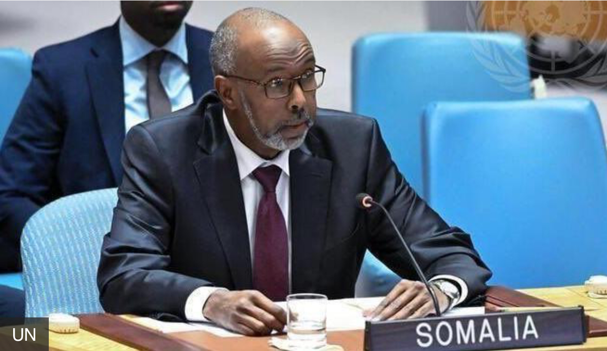 Itoophiyaan waliigaltee ulaa galaanaa ”seeraan alaa” hin dhiistu taanaan humnaan ofirraa ittisna- Pirezidantii Somaaliyaa