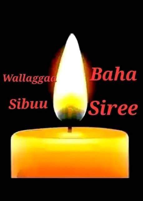 Wallagga Bahaatti waraanni Abbaa Irree Abiyyi namoota nagaa 15 rashane