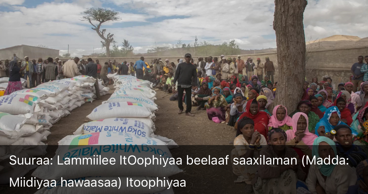 Gabaasni FAO-WFP Itoophiyaa biyyoota beelaan hubamuuf jiran keessatti ramade!