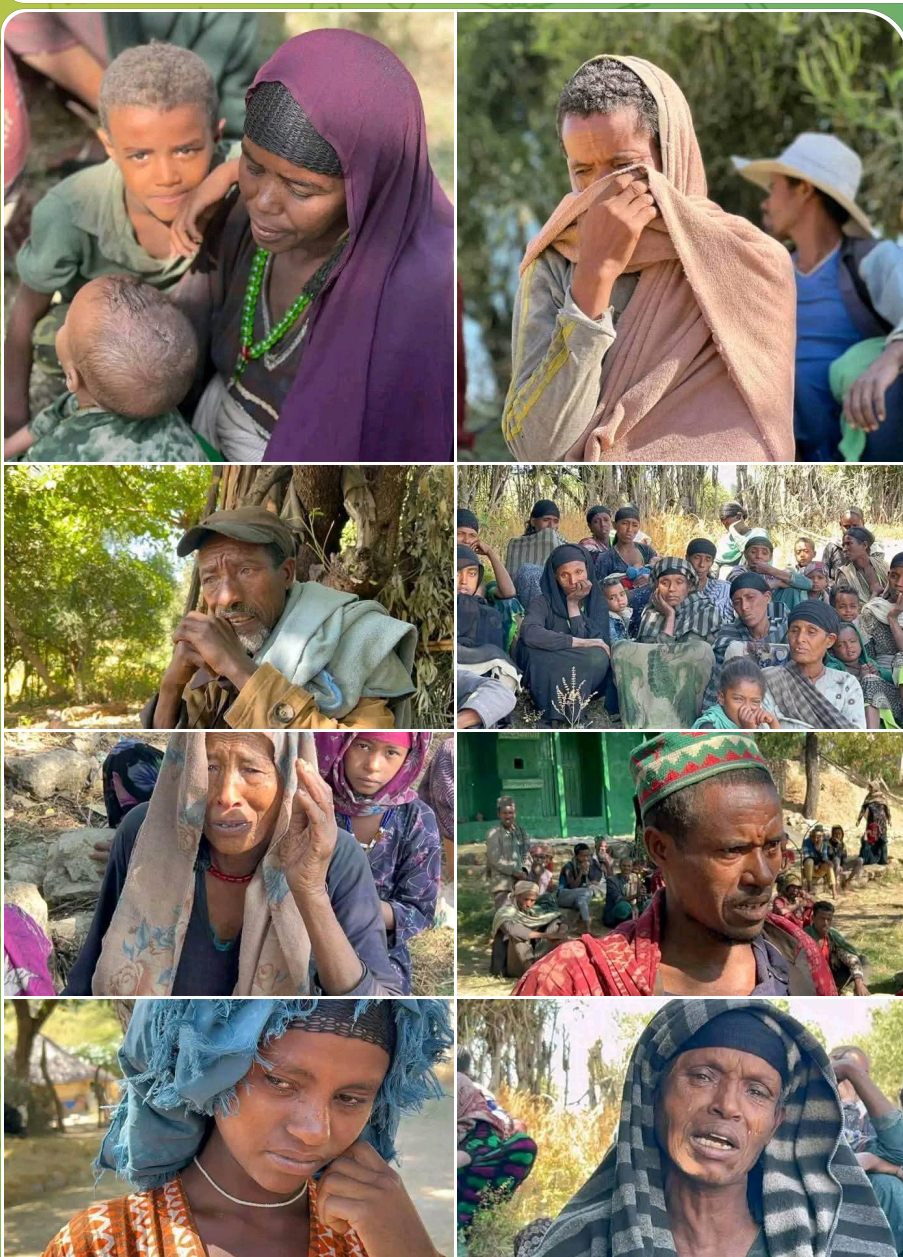 Darraatti ummatni rakkoo isaa Miidiyaatti himate jumulaan hidhame
