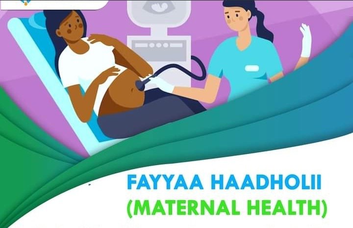 “Miindaa dabalataa osoo eeggachaa jirruu kan duraan argachaa turre mootummaan nurraa kute”Hojjettoota Buufata Fayyaa Oromiyaa