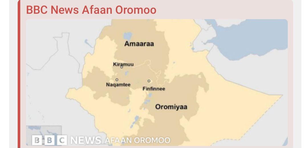 Liyyuu Haayiliin Somaalee Alshabaab waliin tahuun Lola daangaa babal’ifannaa Moyyaaleen taasisaan jiraniin ummata irratti miidhaa qaqqabsiisan
