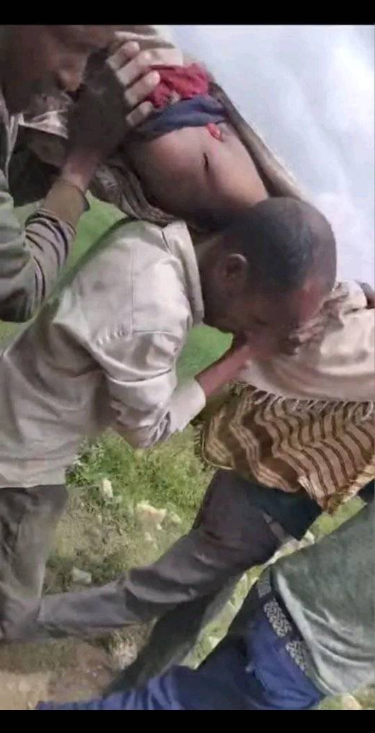 Harargee Bahaa Cinaaksanitti weerara hidhattootni Naannoo Somaaleef bananiin namootni 6 battalatti yoo ajjeefaman miidhaan biroos qaqqabeera .