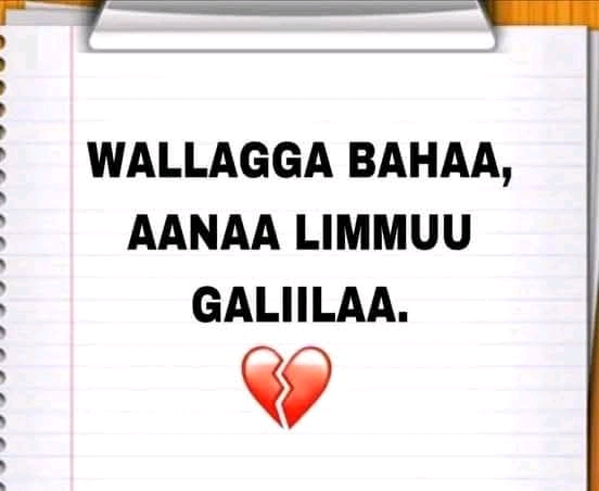Aanaa Limmuu M/Galiilaa keessatti manni hidhaa guutee namnii dhaabbachaa oolee bulaa jira
