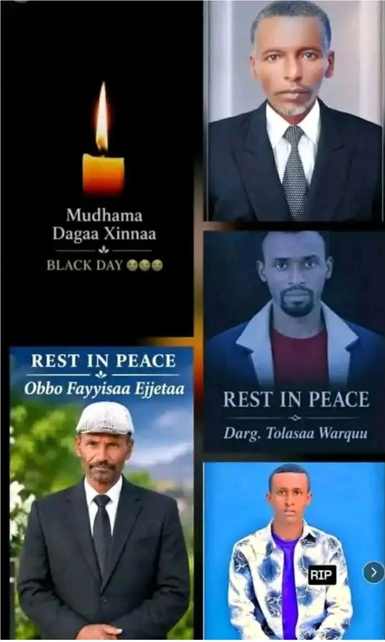 Ajjeechaa Jumulaan Shawaa Lixaa Gindabarat keessatti raawwatame hedduu nama dhukkubsa